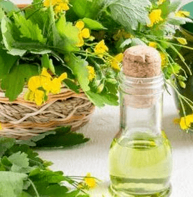 Celandine u borbi protiv gljive
